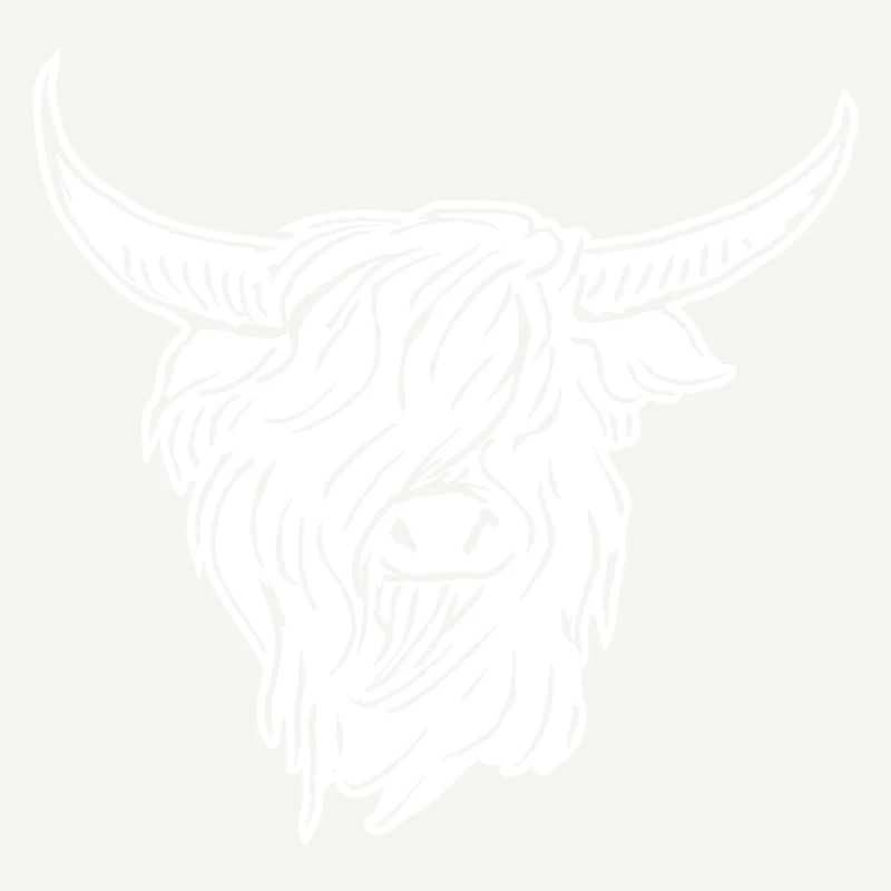 scottish highlander 02 white
