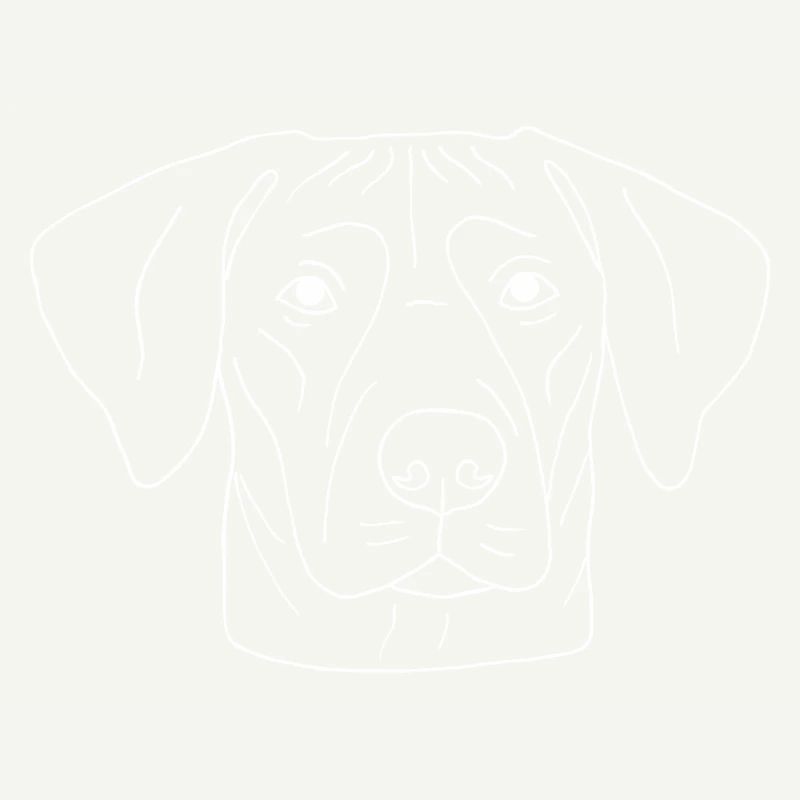 Rhodesian Ridgeback