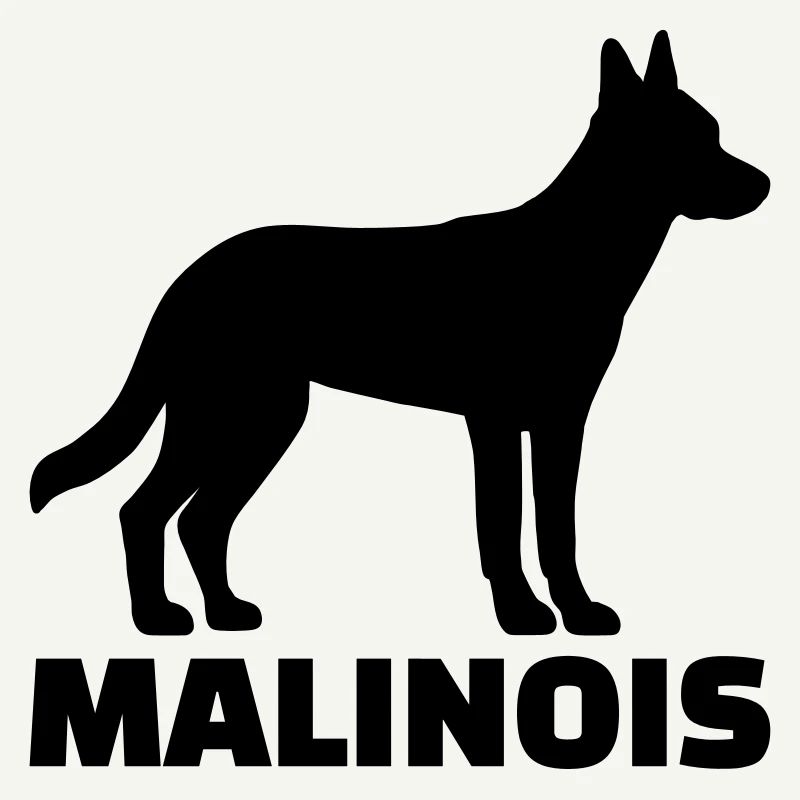 malinois