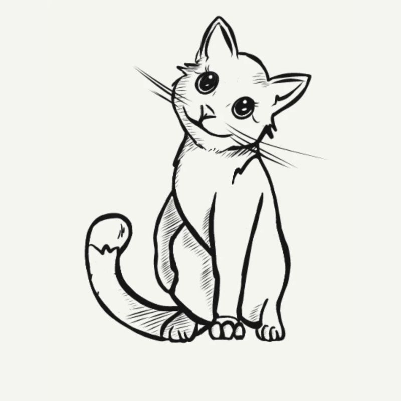 chat mignon