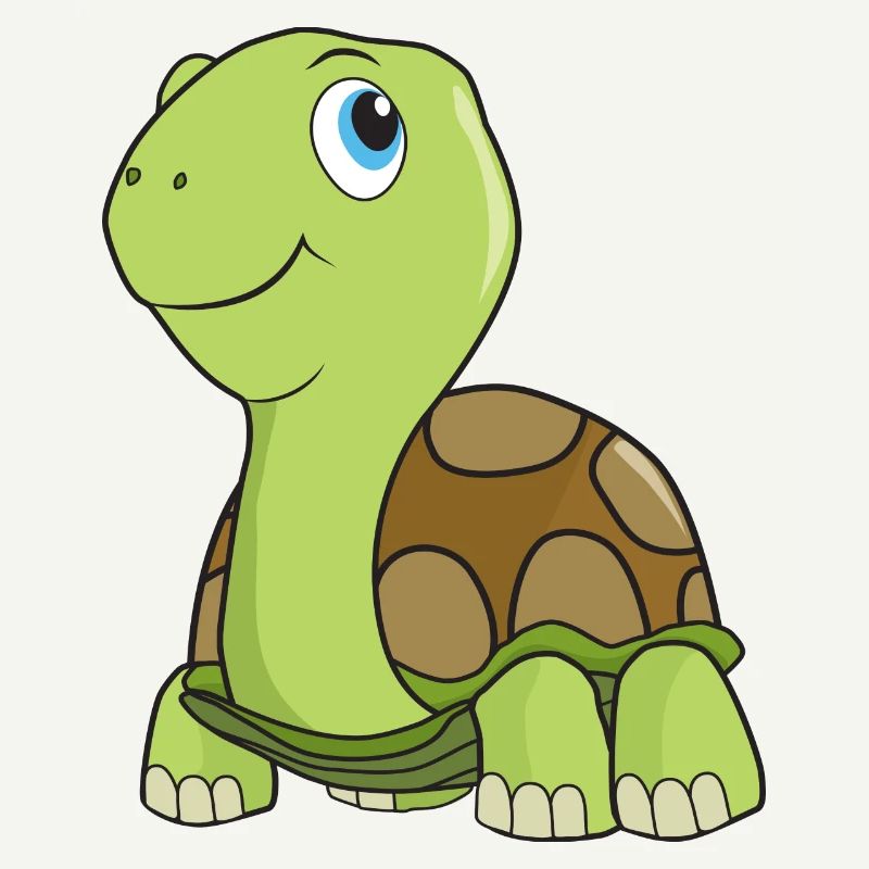 Schildkröte