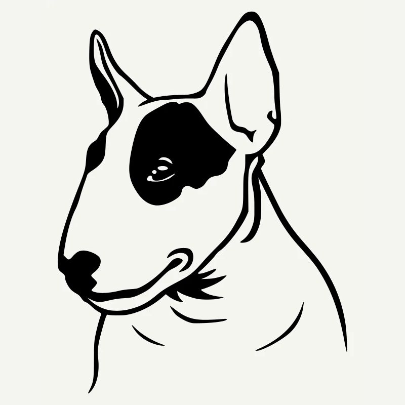 Profil de Bull Terrier (G)