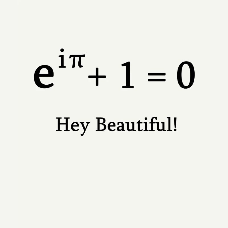 Euler identité math mathématicien nerd science pi