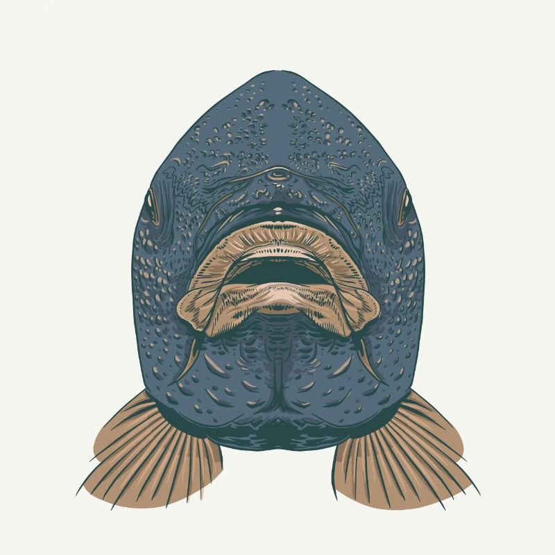 carp