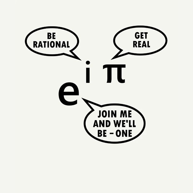 Mathematician Gift Math Teacher Nerd Euler Pi