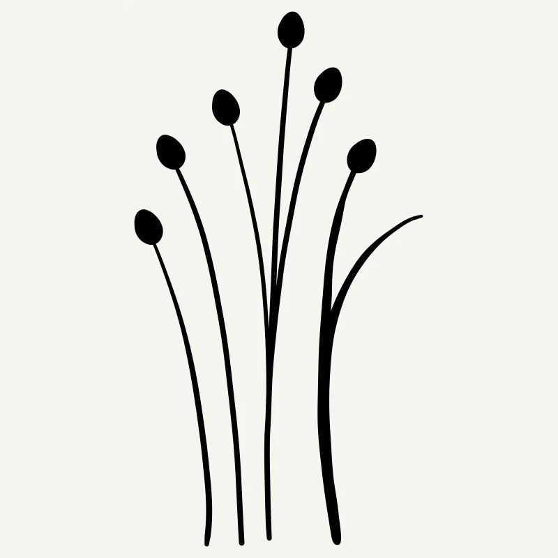 simple wildflower