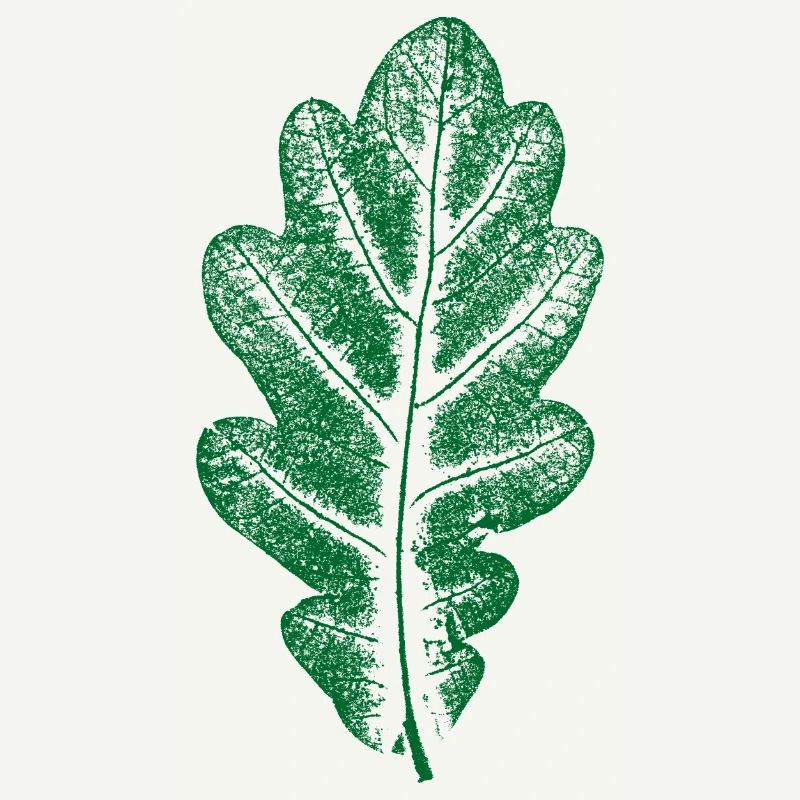 Vert Feuille de Chêne - Monocolore - Feuille/Chêne/ Arbre