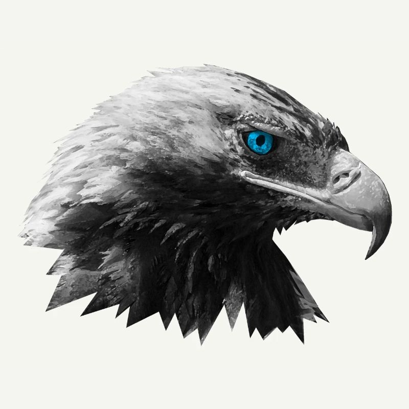 Aigle