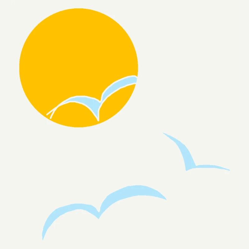 Sonne Möwen 02