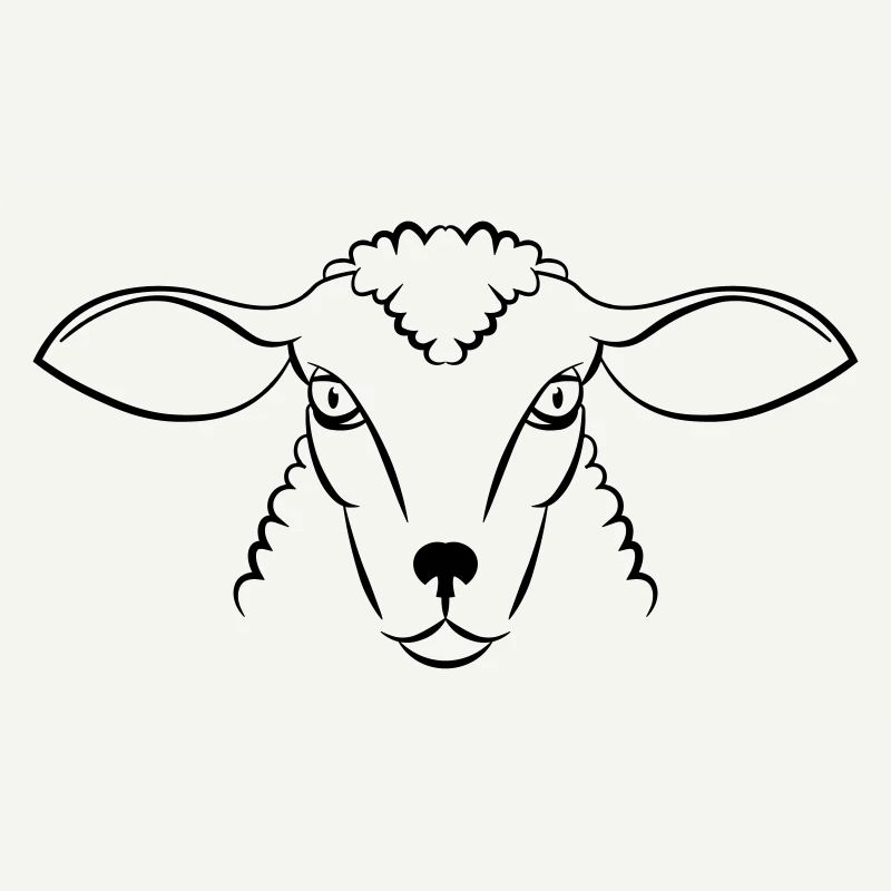 mouton
