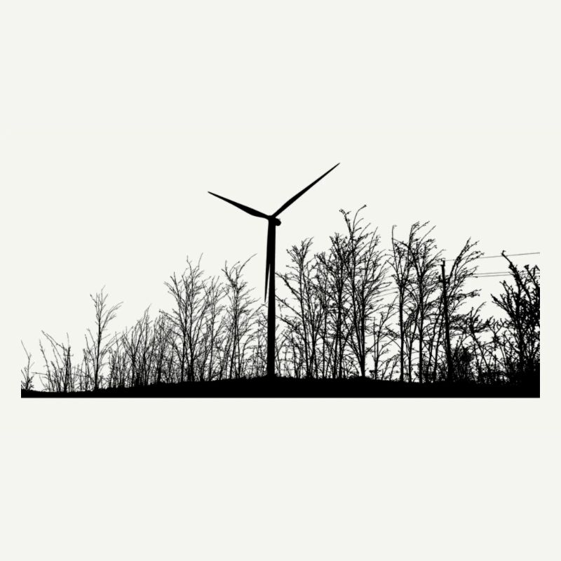 Fridays for future
