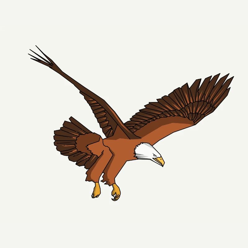 Eagle Eagle Bald Eagle