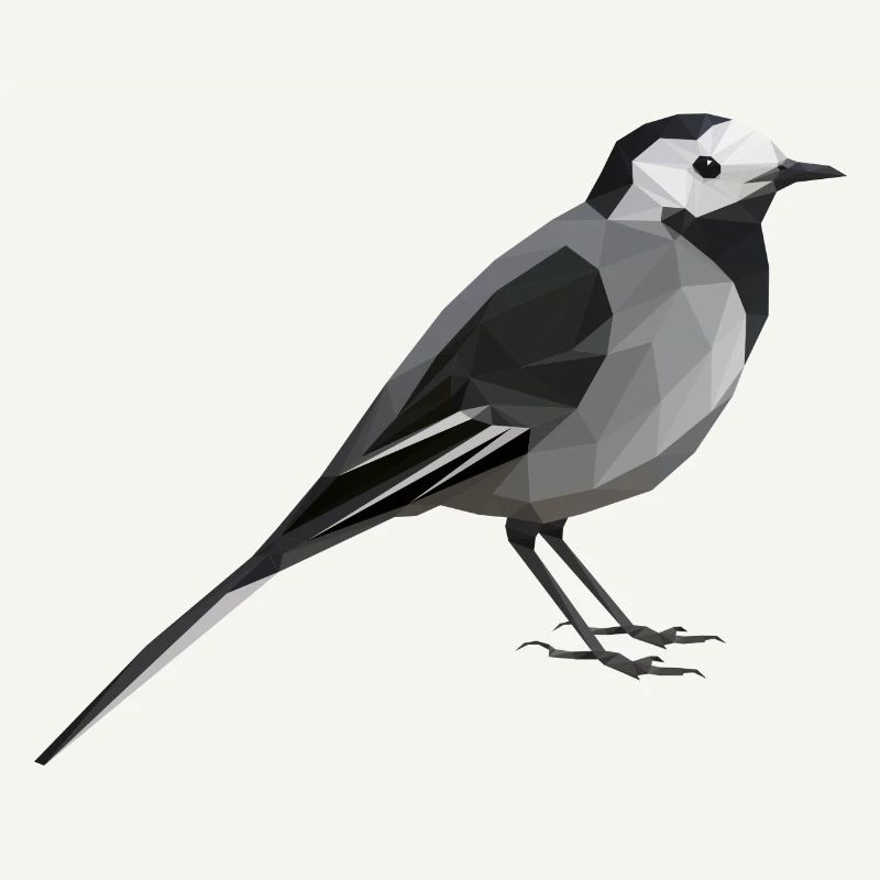 wagtail