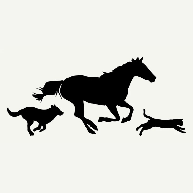 Pferd Katze Hund