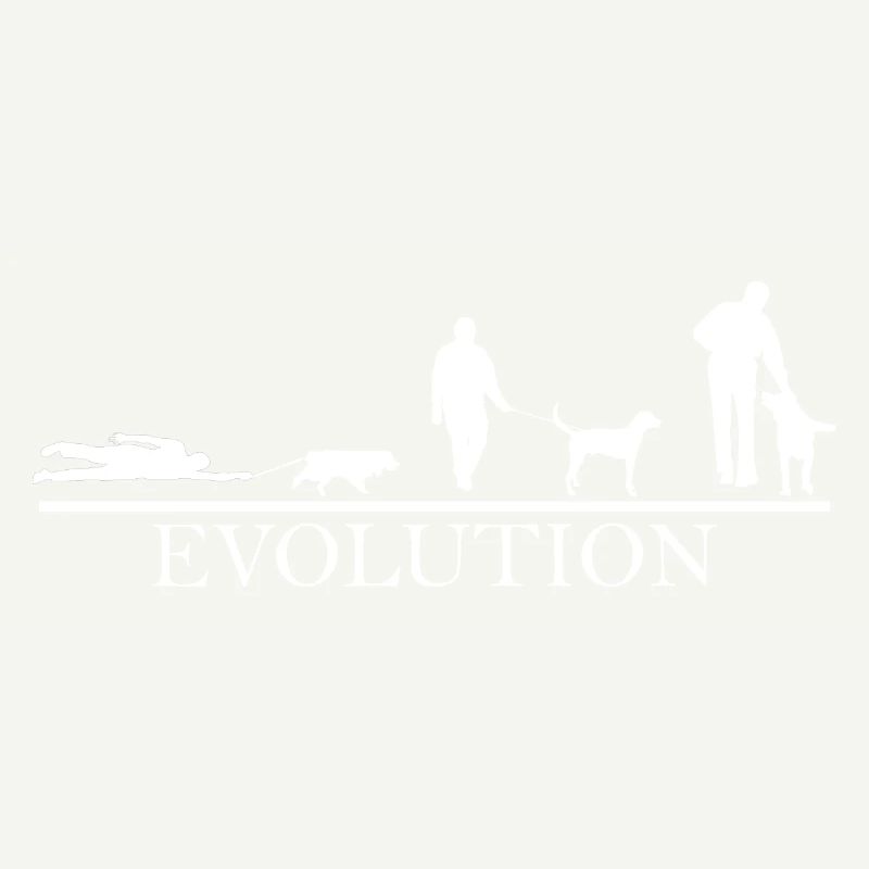 Evolution Promener chien