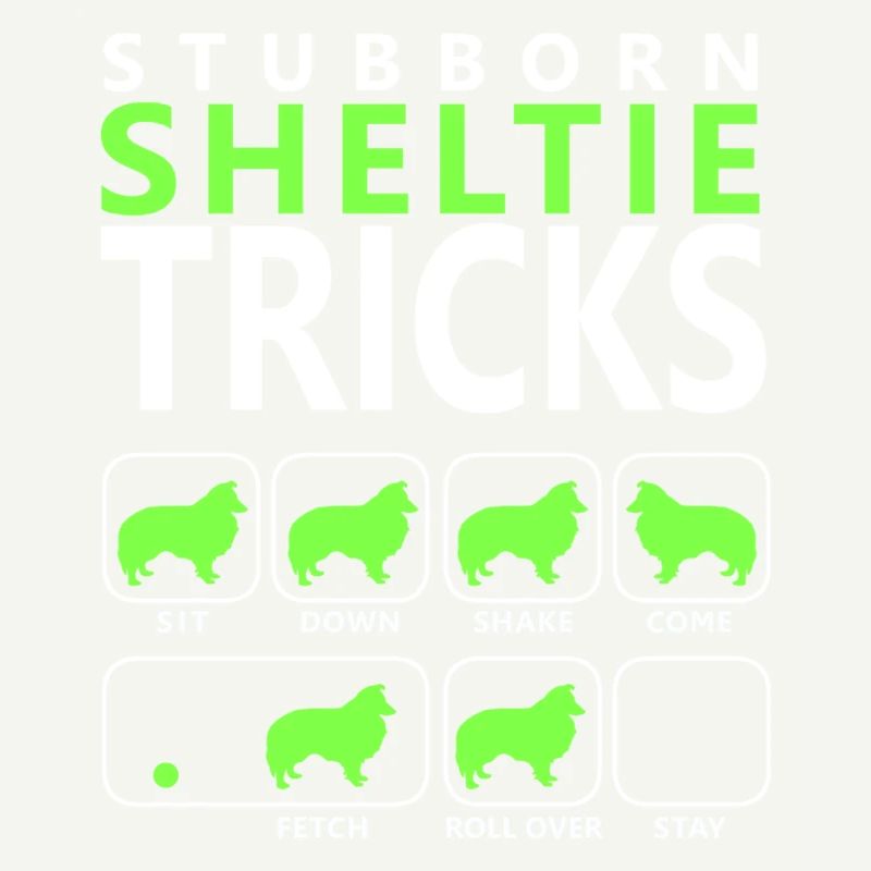 Hartnäckige Sheltie-Tricks