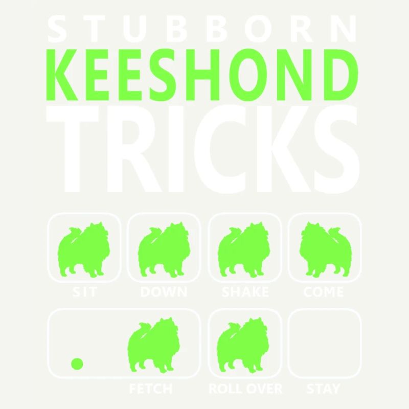 Hartnäckige Keeshond-Tricks