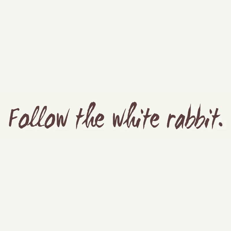 Follow the white rabbit programming cadeau