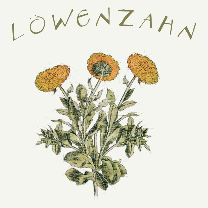 Löwenzahn Retro Blume Garten
