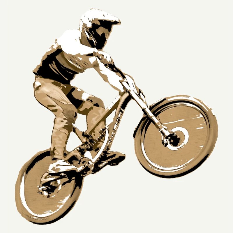 vtt descente