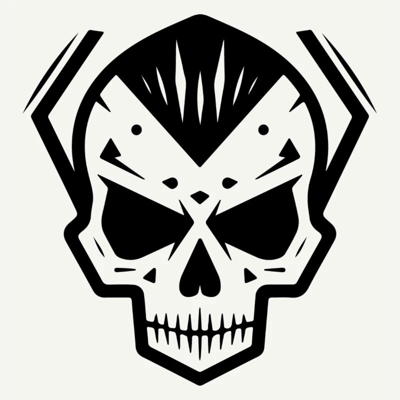 Skull Punk Art