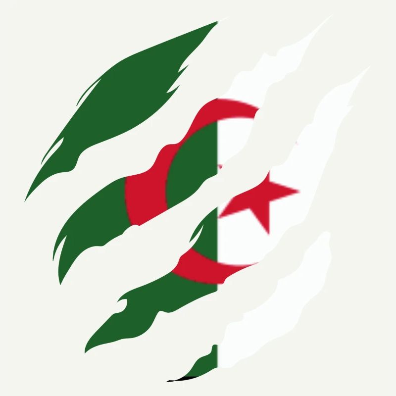 Algerian Flag - Algerian Gift Idea