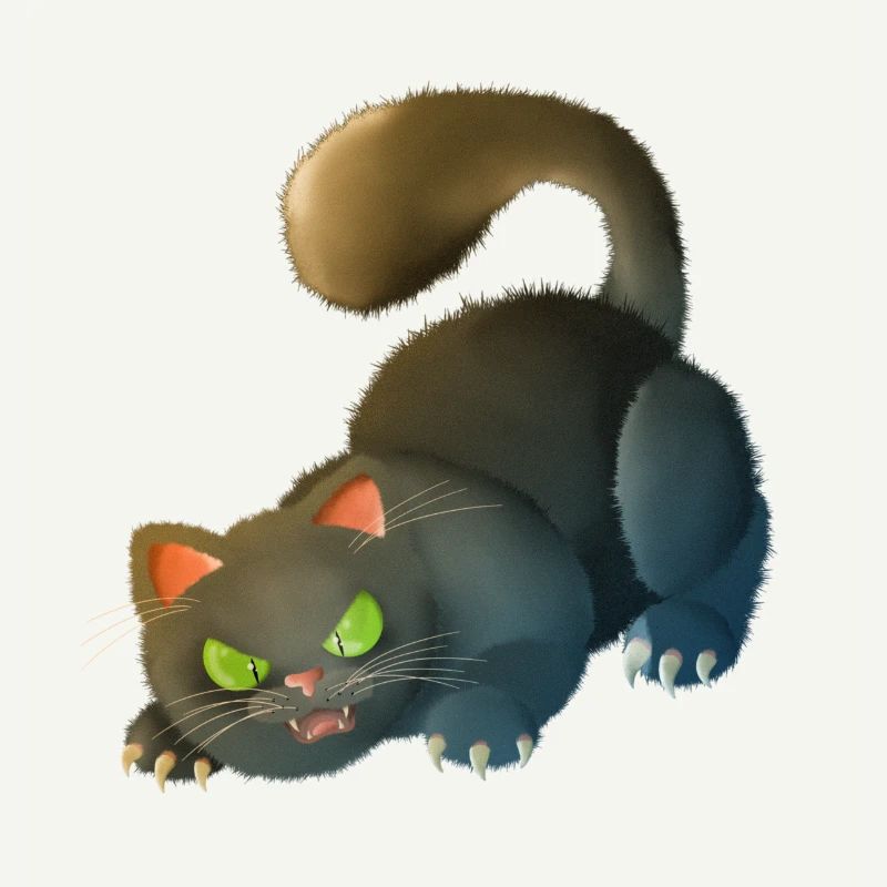 Cat 5