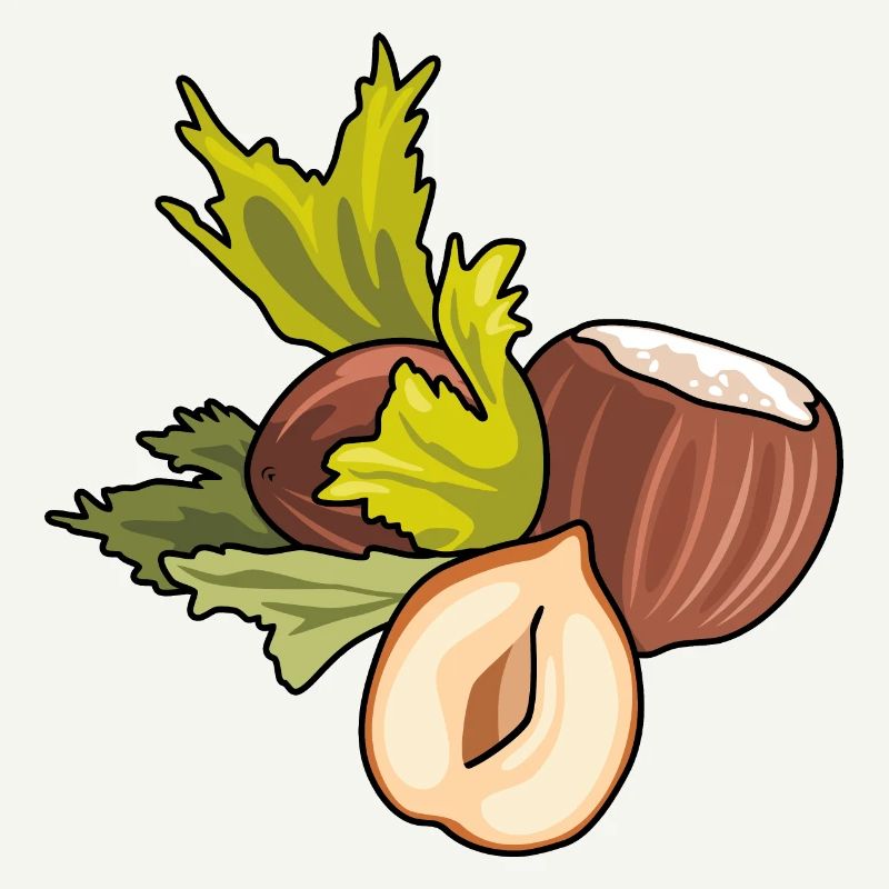Hazelnut