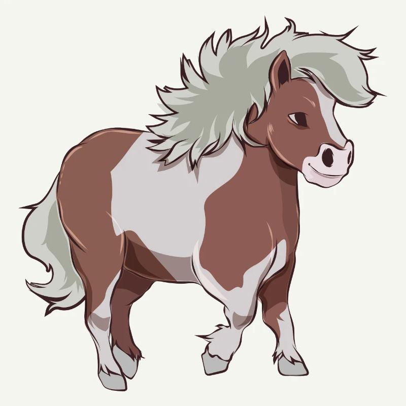 Shetty gift