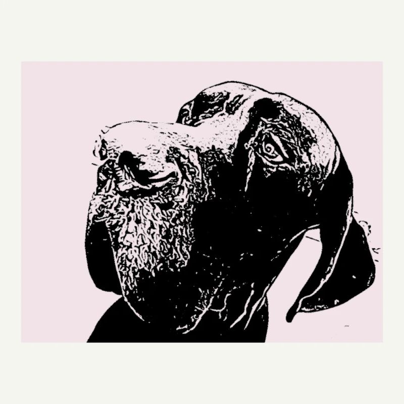 Dogue allemand