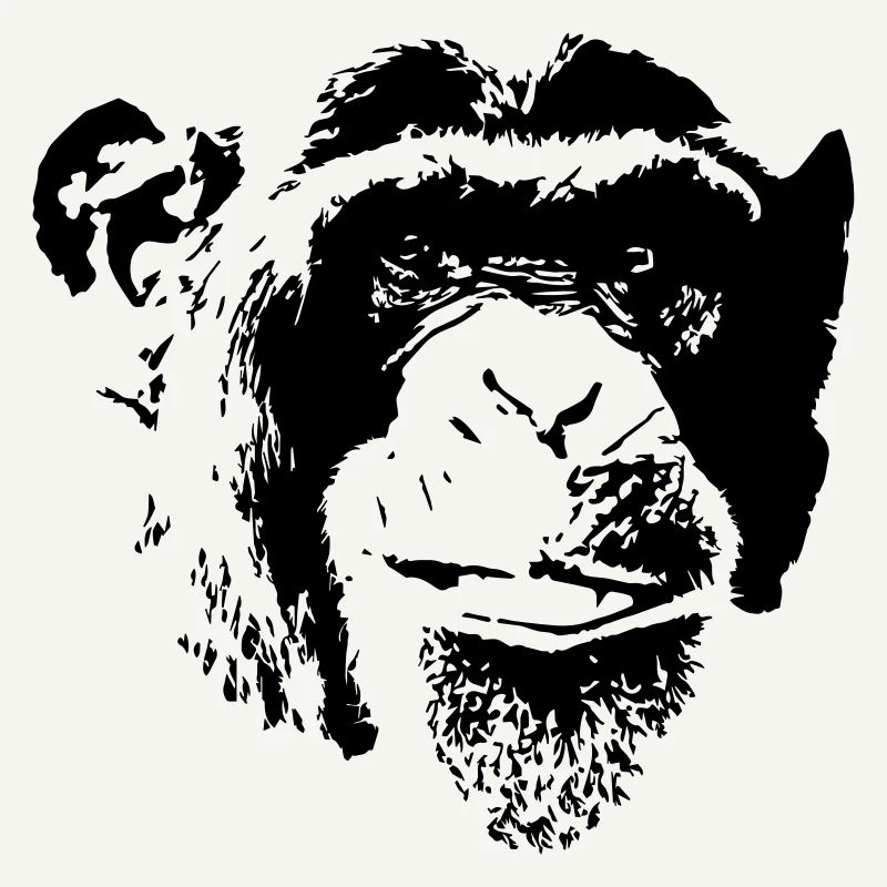 Tête de singe