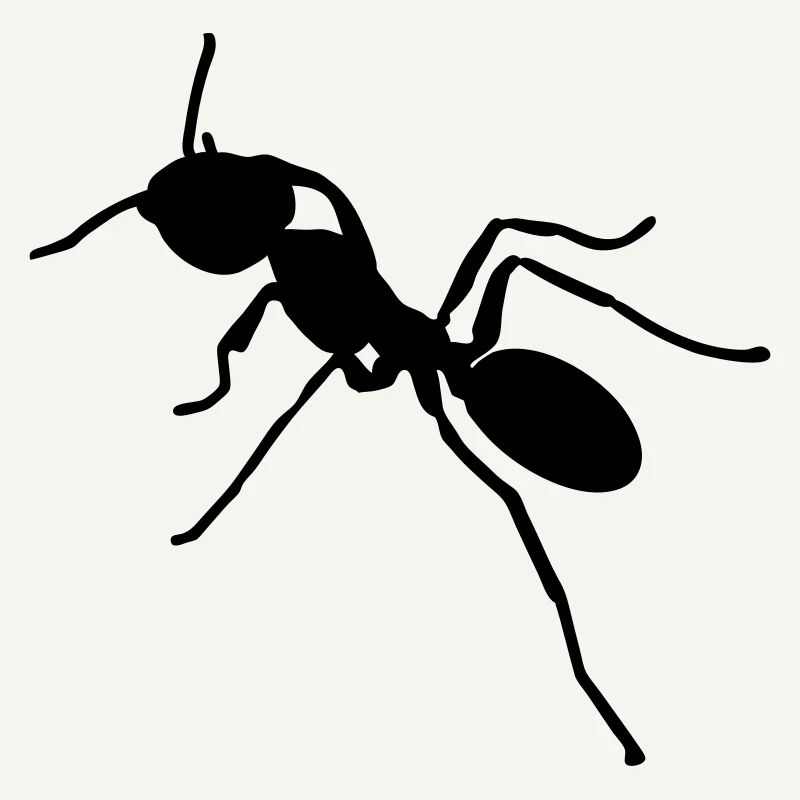 ant