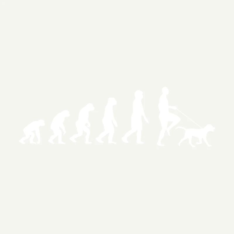 Labrador Evolution