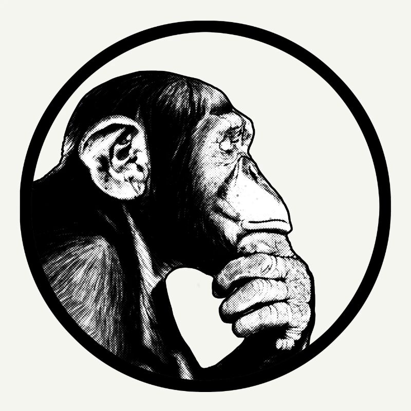 Think after monkey chimpanzee