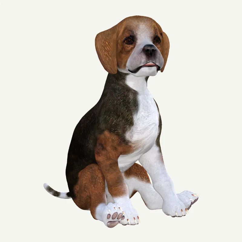 Chiot Beagle