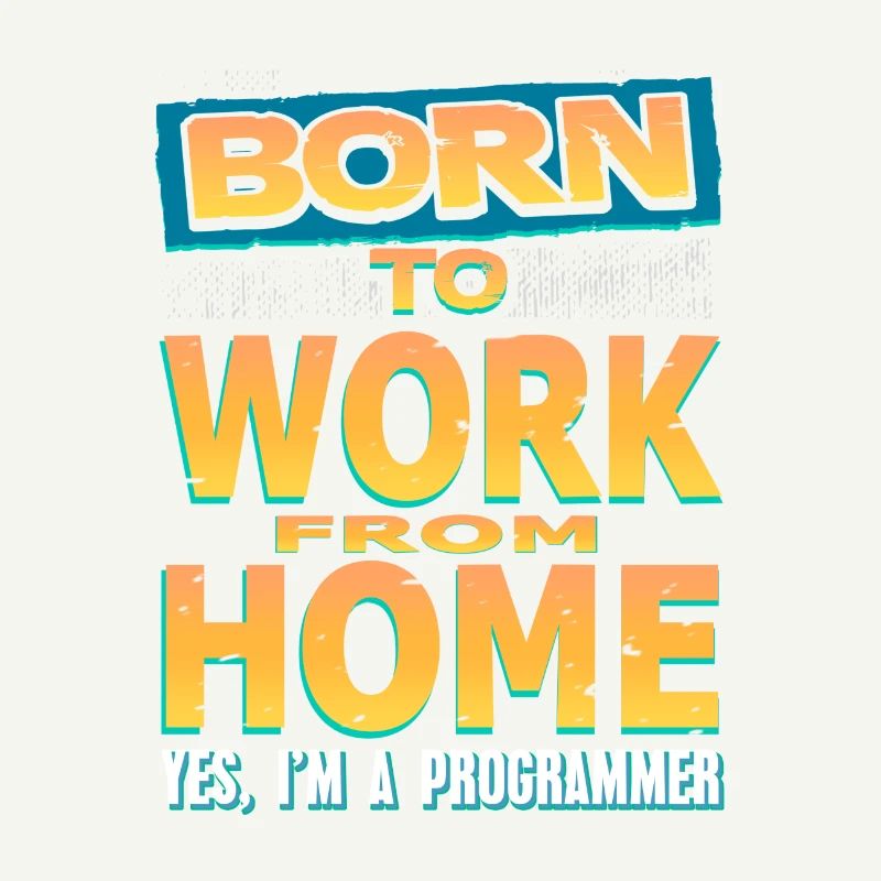 programmeur