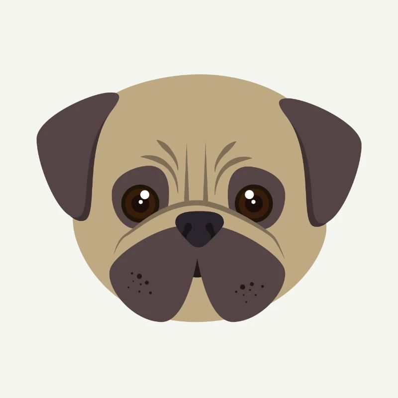 Pug