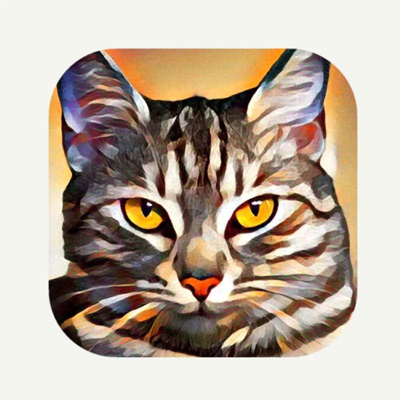 Chat