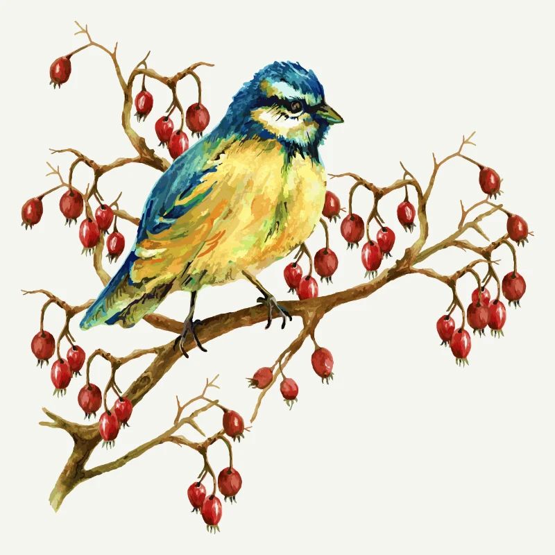 Bunter Vogel