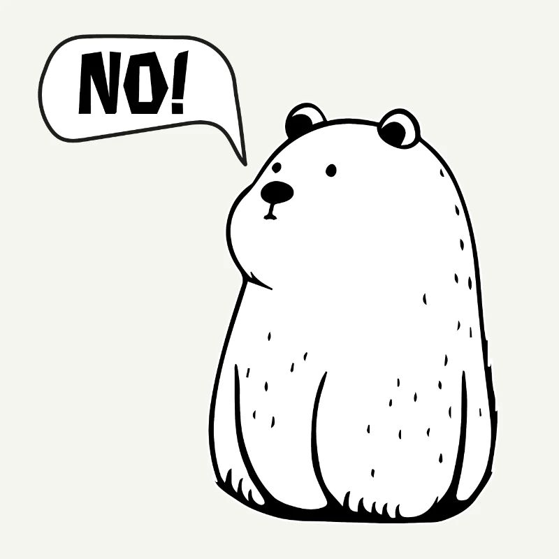 TOUT simplement NON ! Drôle d’ours qui dit NON