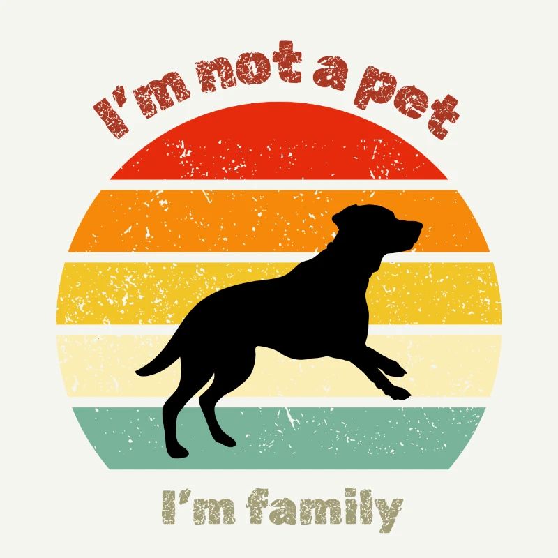 Labrador rétro