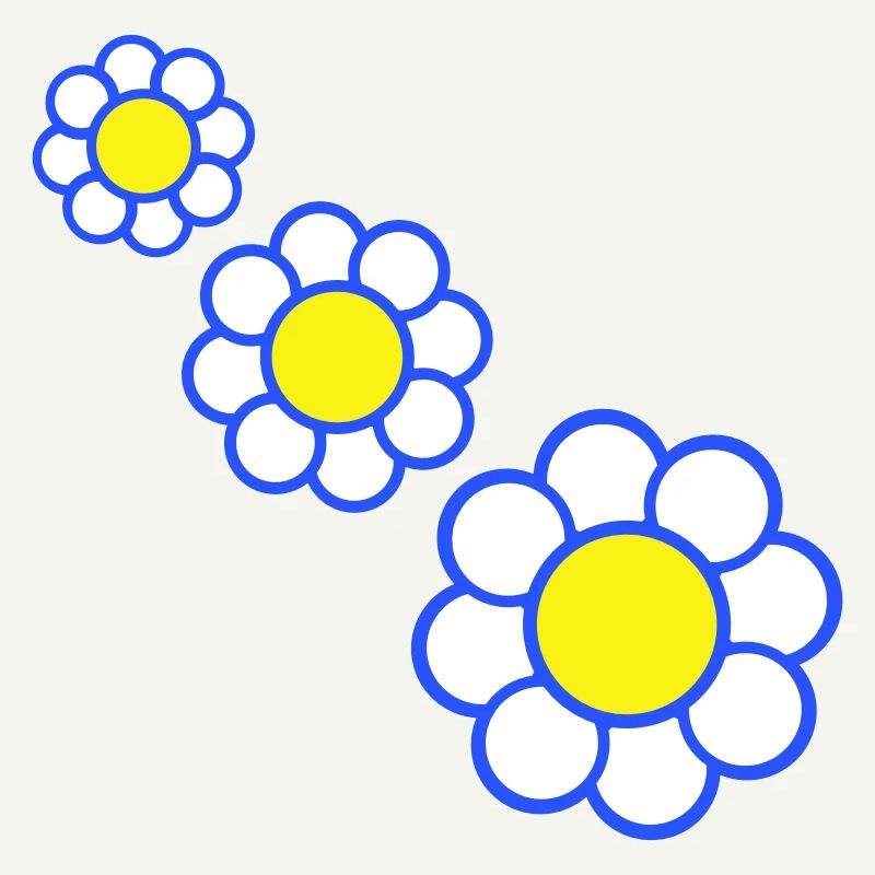 3 White Daisies Flowers Spring Summer Pretty