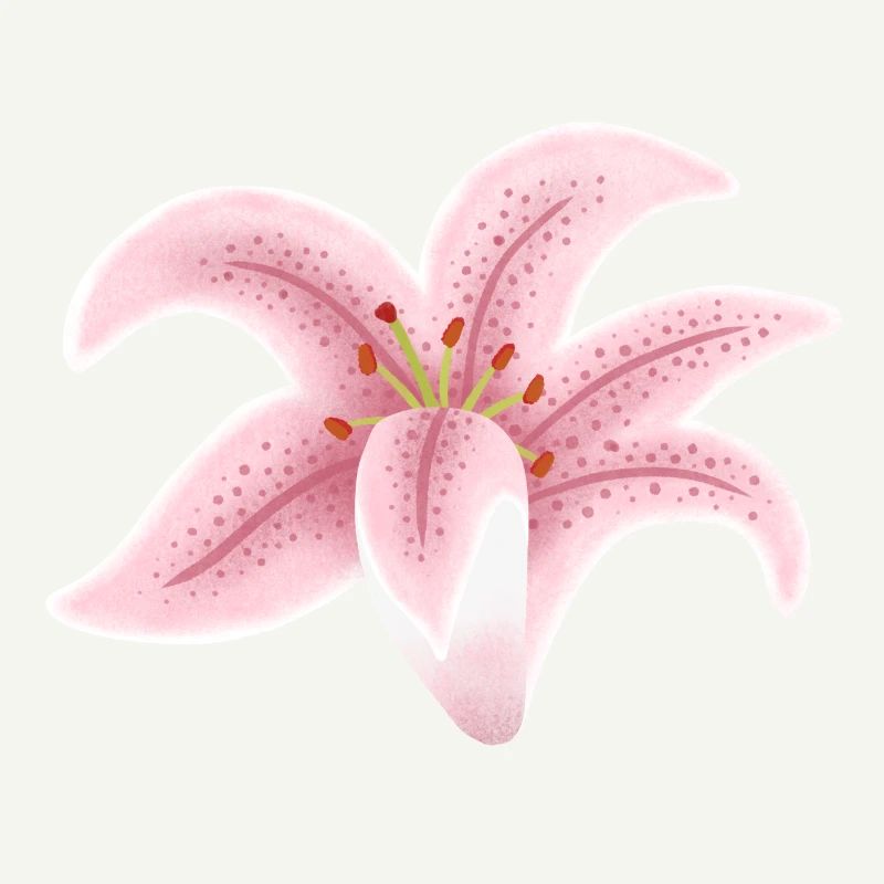 fleur de lys rose