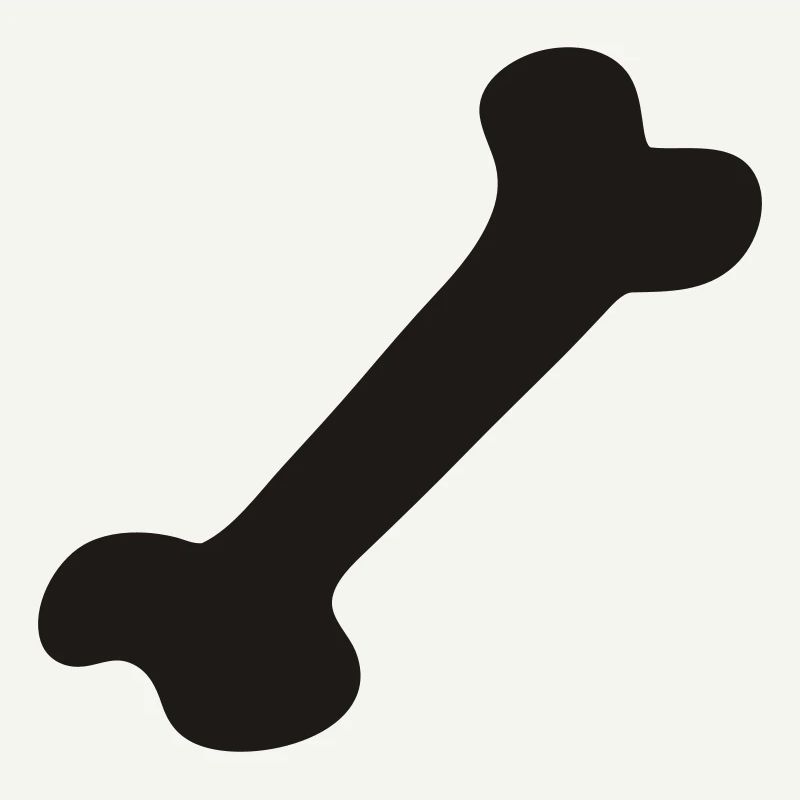Knochen - Bone