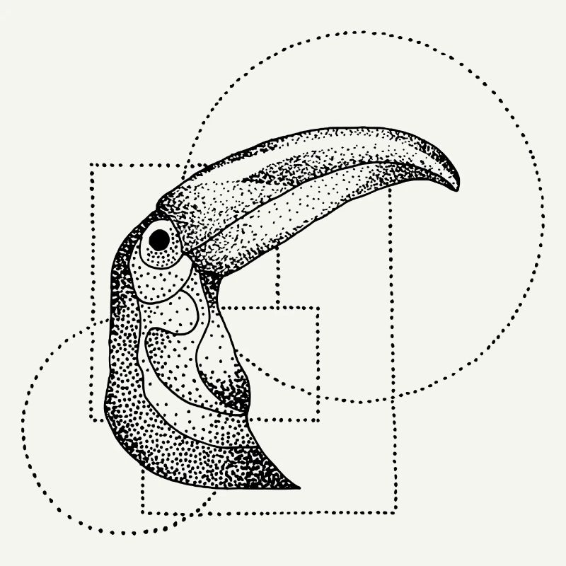 Toucan