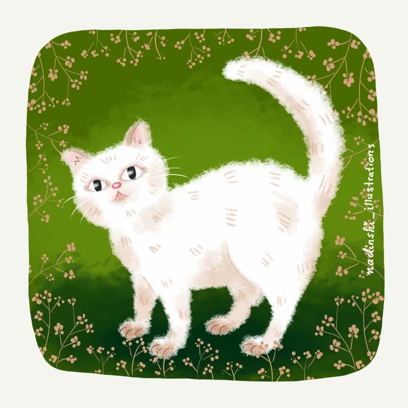 chat mignon