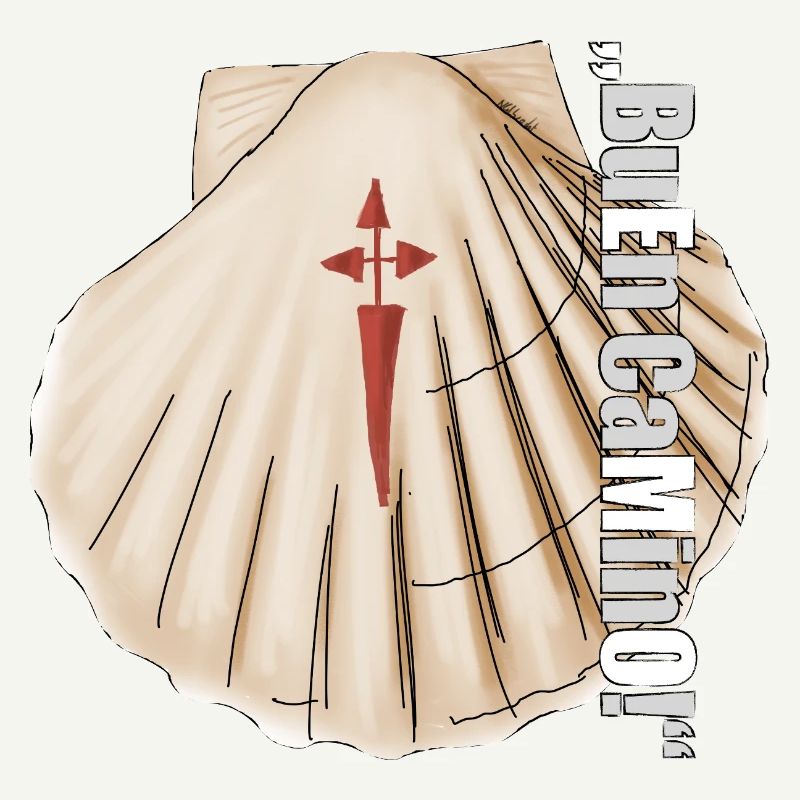 Scallop