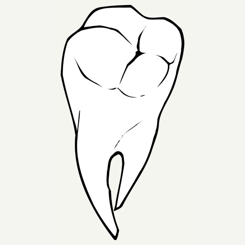 tooth