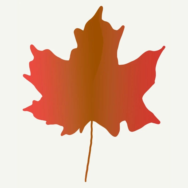 Une feuille d’érable rouge du Canada