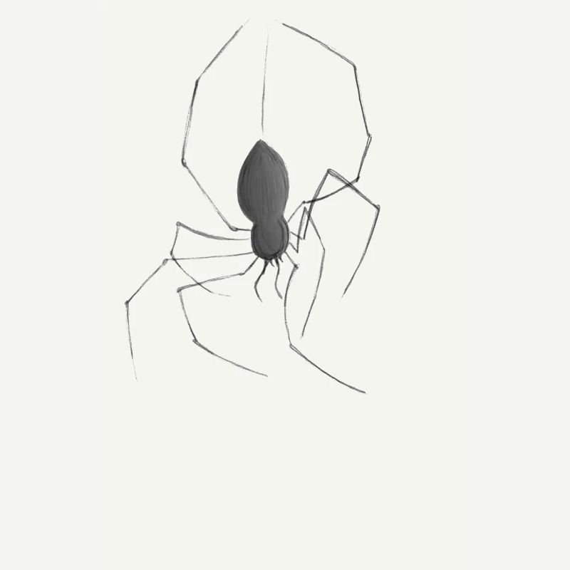 Spinne